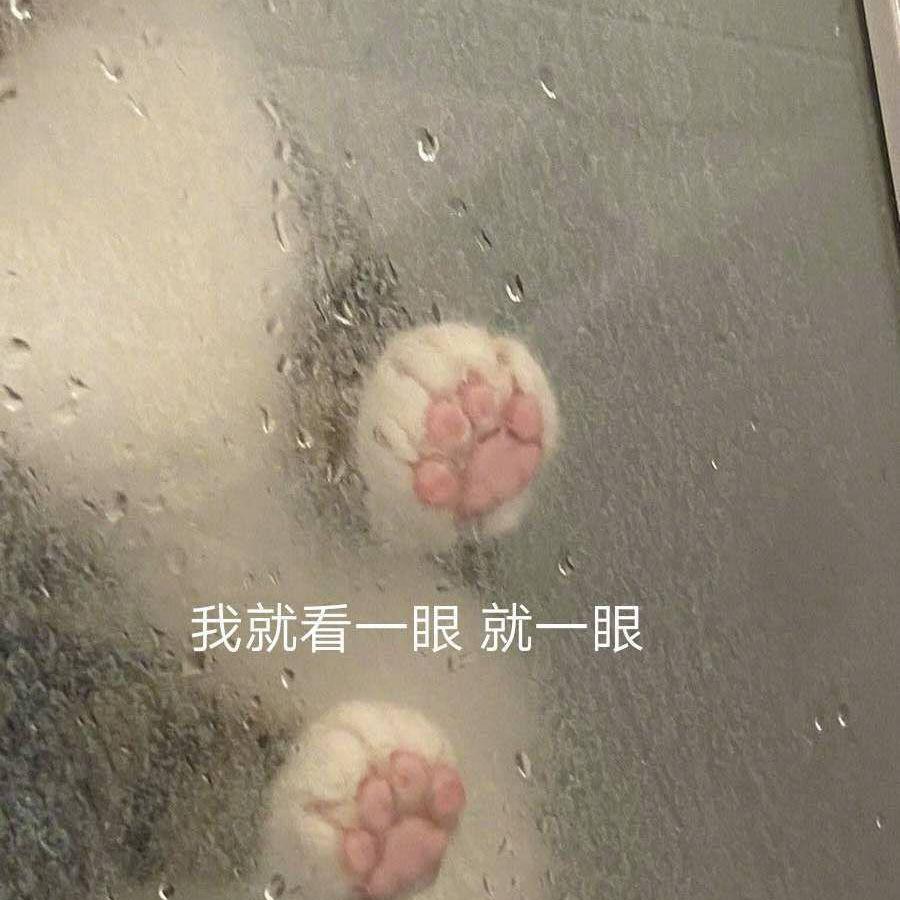 偏爱和例外