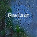 Rain Drop