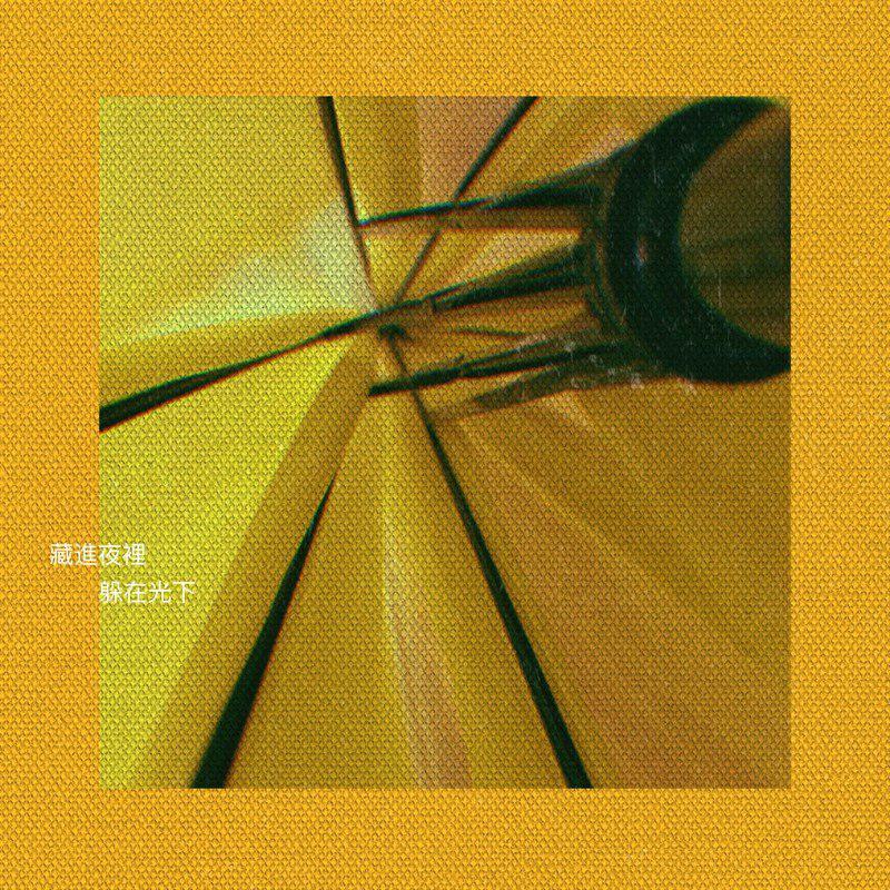 藏进夜里，躲在光下（十叁）