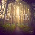 Carry On (Zeni Remix)