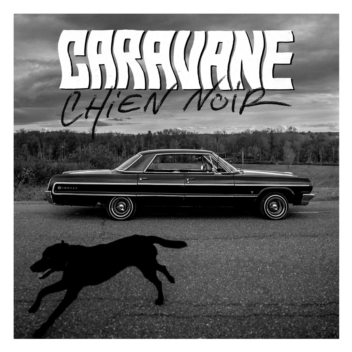 Chien noir