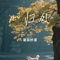 星辰妙漫 - 心归处