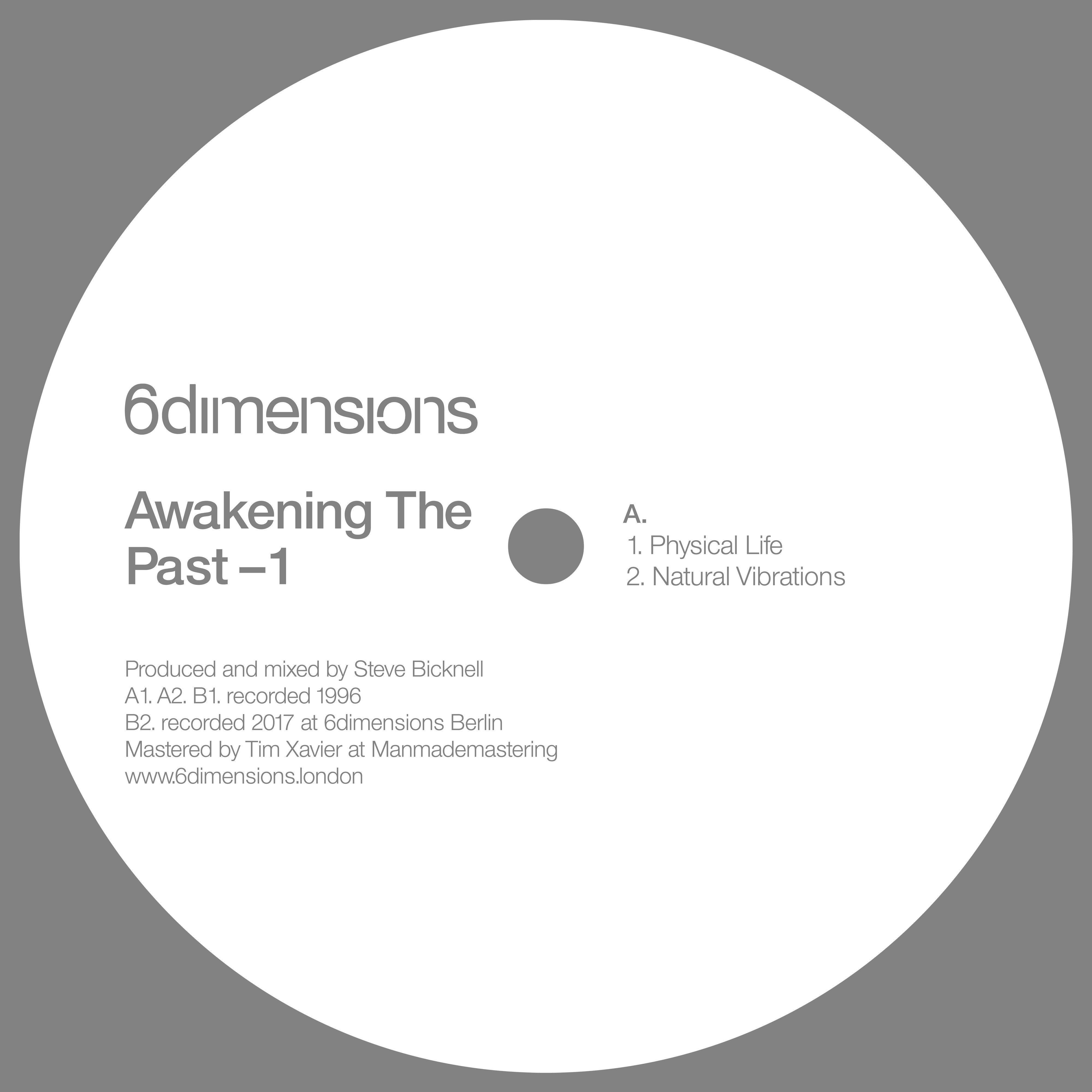 Awakening the Past