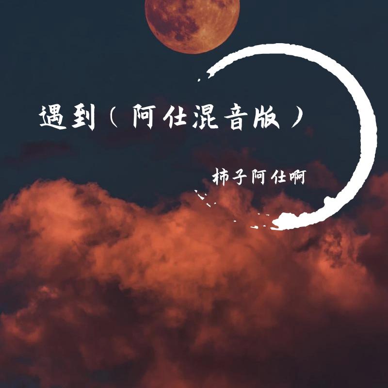遇到（阿仕混音版）