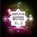 Hidden In The Woods Vol.3专辑