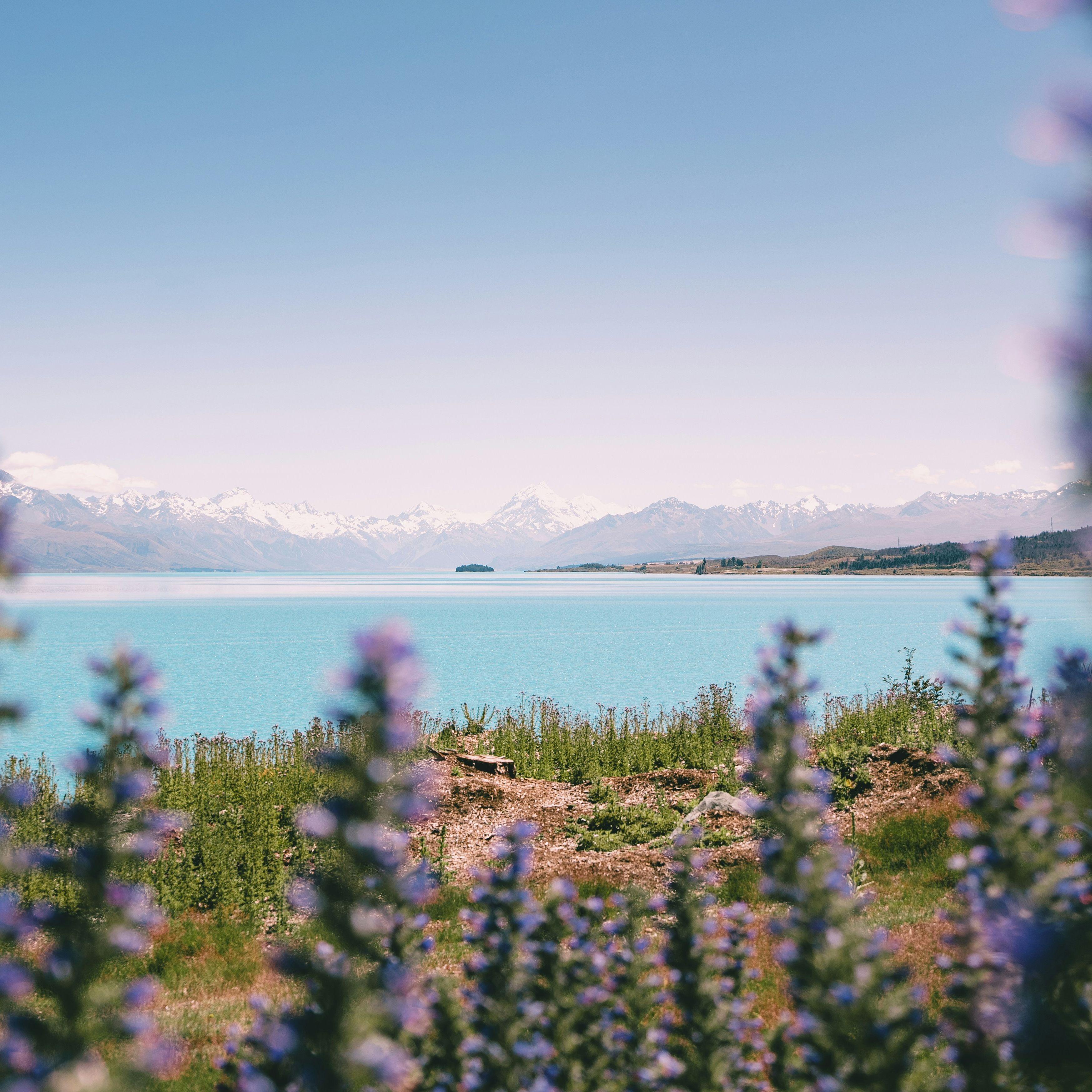 捡起丢掉的回忆（DJ至尊旋律）