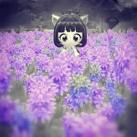 《故乡有个黄鹤楼》(F调-旋律伴奏-85)