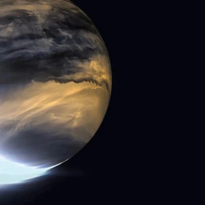 DalryoBaby- 蜡笔小新