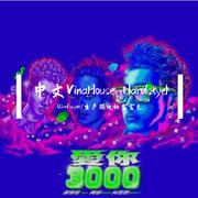 中文VinaHouse Hardstyel