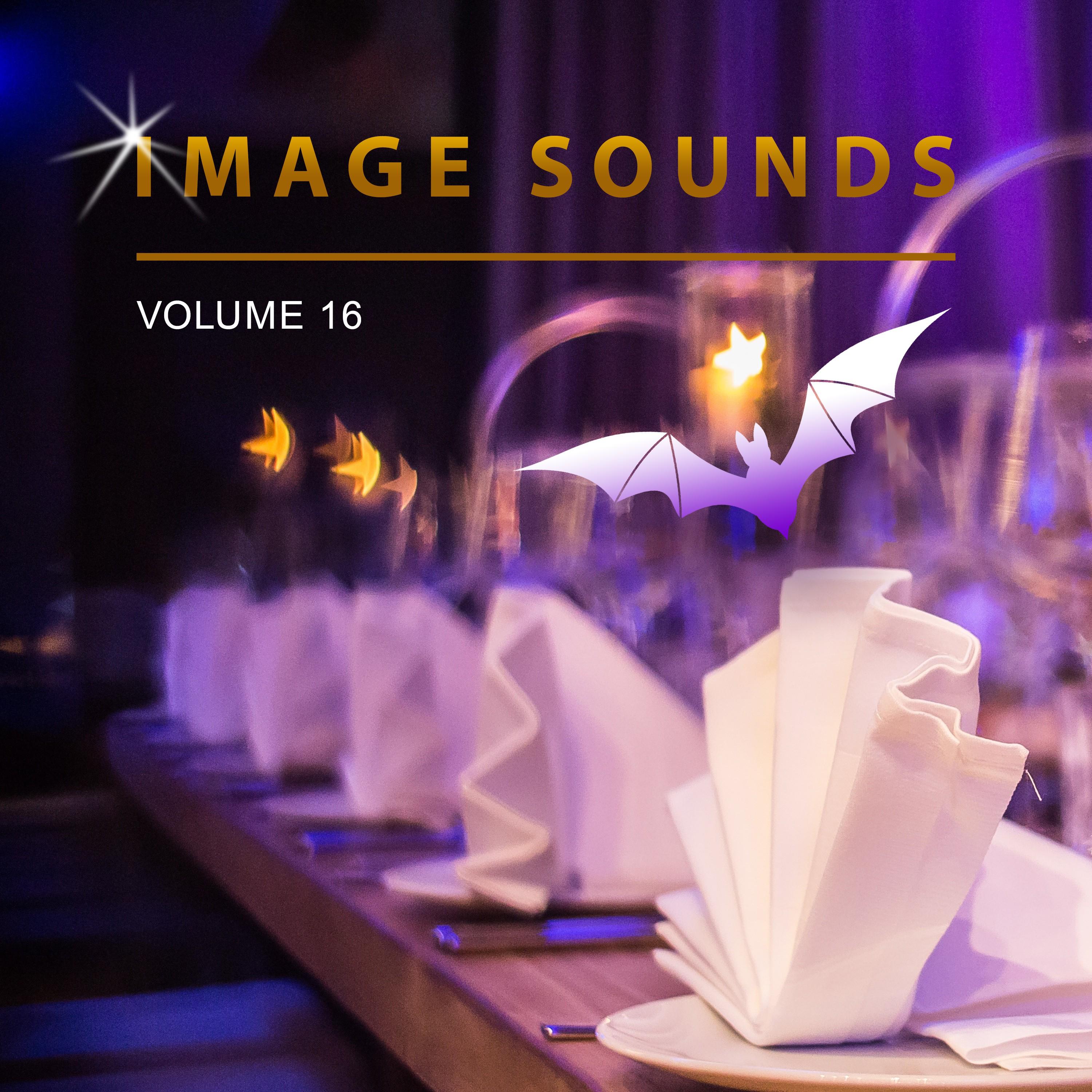 Image Sounds, Vol. 16