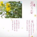 花のうた专辑