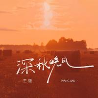 王键 - 深秋晚风 (伴奏)