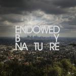 Endowed By Nature（自然的赋予）专辑