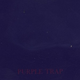 Purple Trap - The Wound That Was Given Birth To Must Be Bigger Than The Wound That Gave Birth