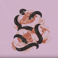 盘