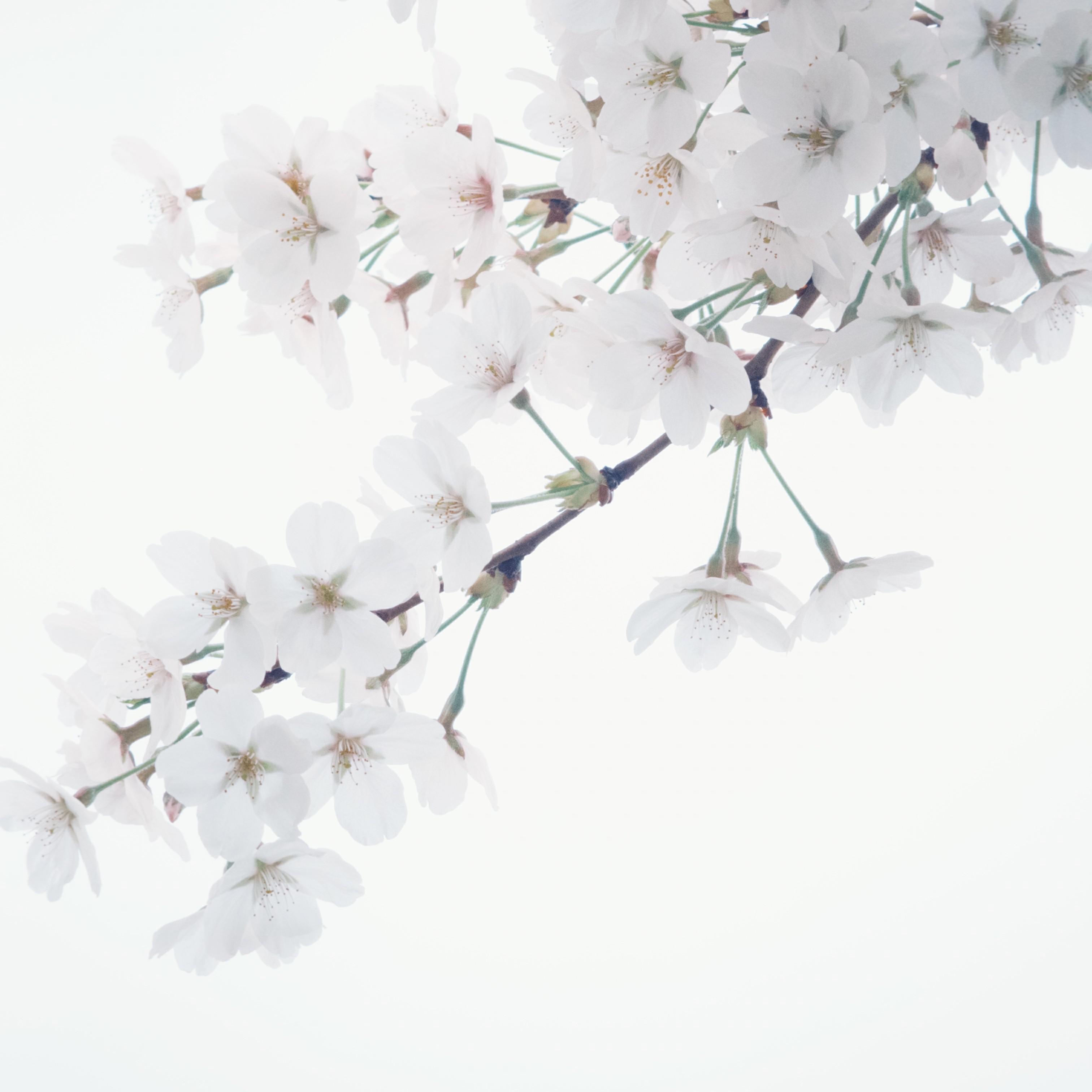 Billionaire (ROCK VERSION)