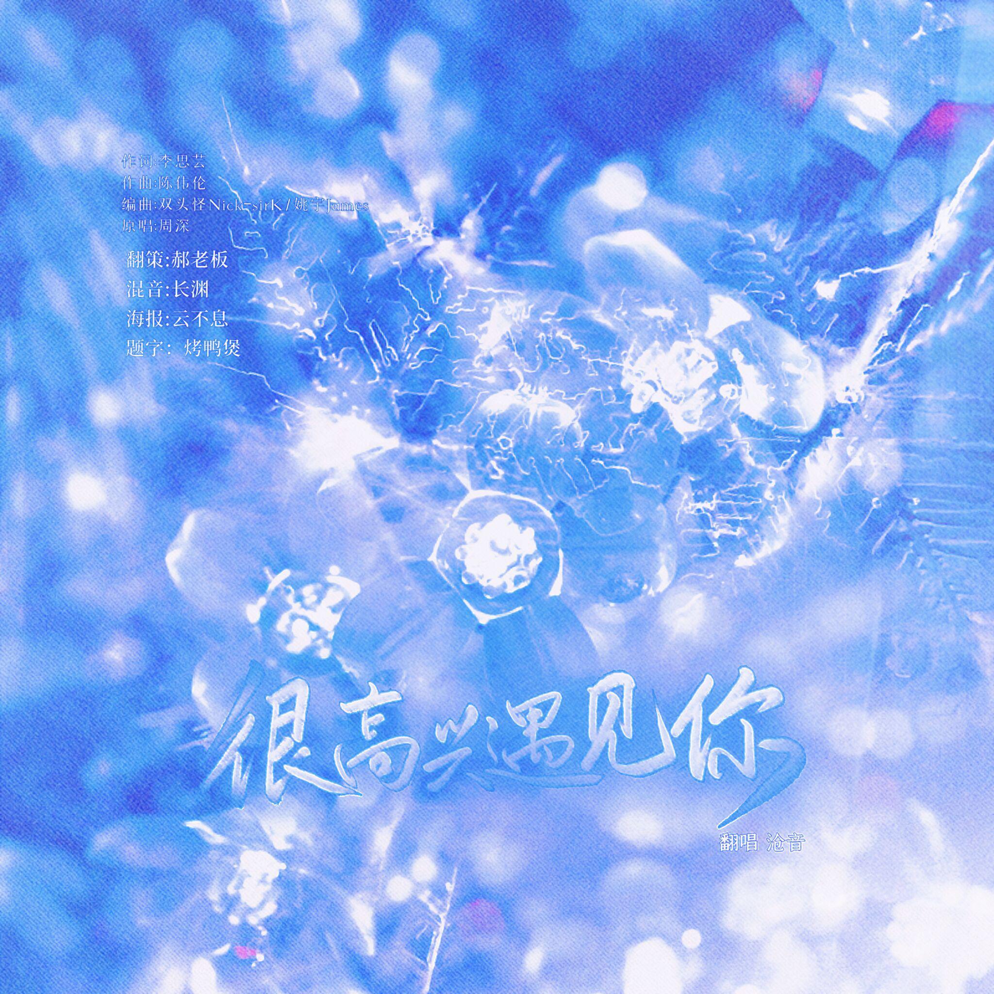 很高兴遇见你（王者荣耀七周年遇见主题曲）