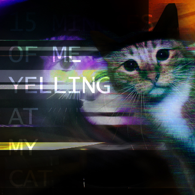 15 Minutes of Me Yelling at My Cat
