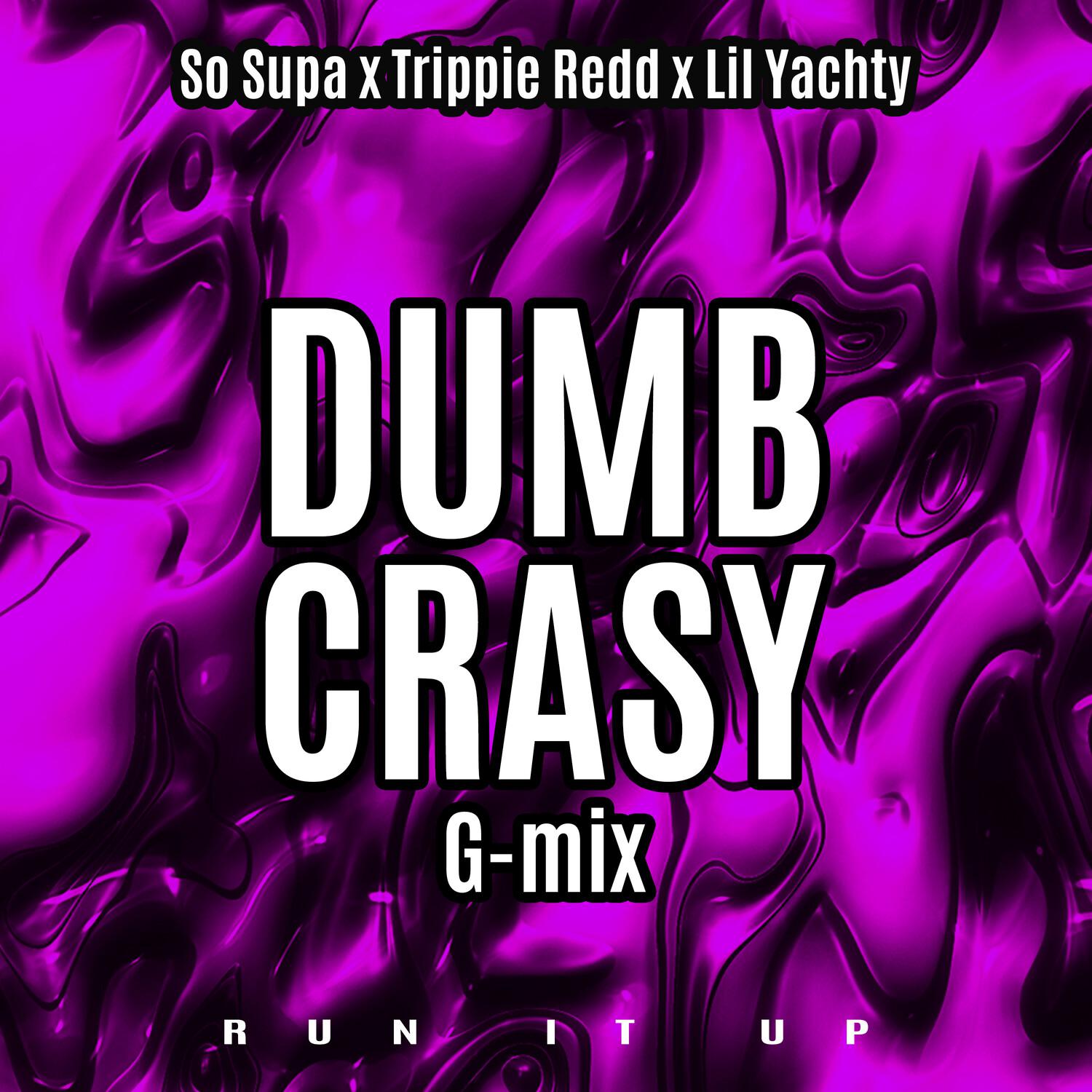 Dumb Crasy (G-Mix)专辑