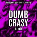 Dumb Crasy (G-Mix)专辑
