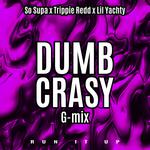 Dumb Crasy (G-Mix)专辑