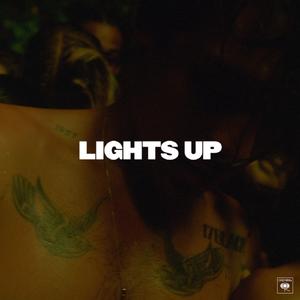 Harry Styles - Lights Up （升6半音）