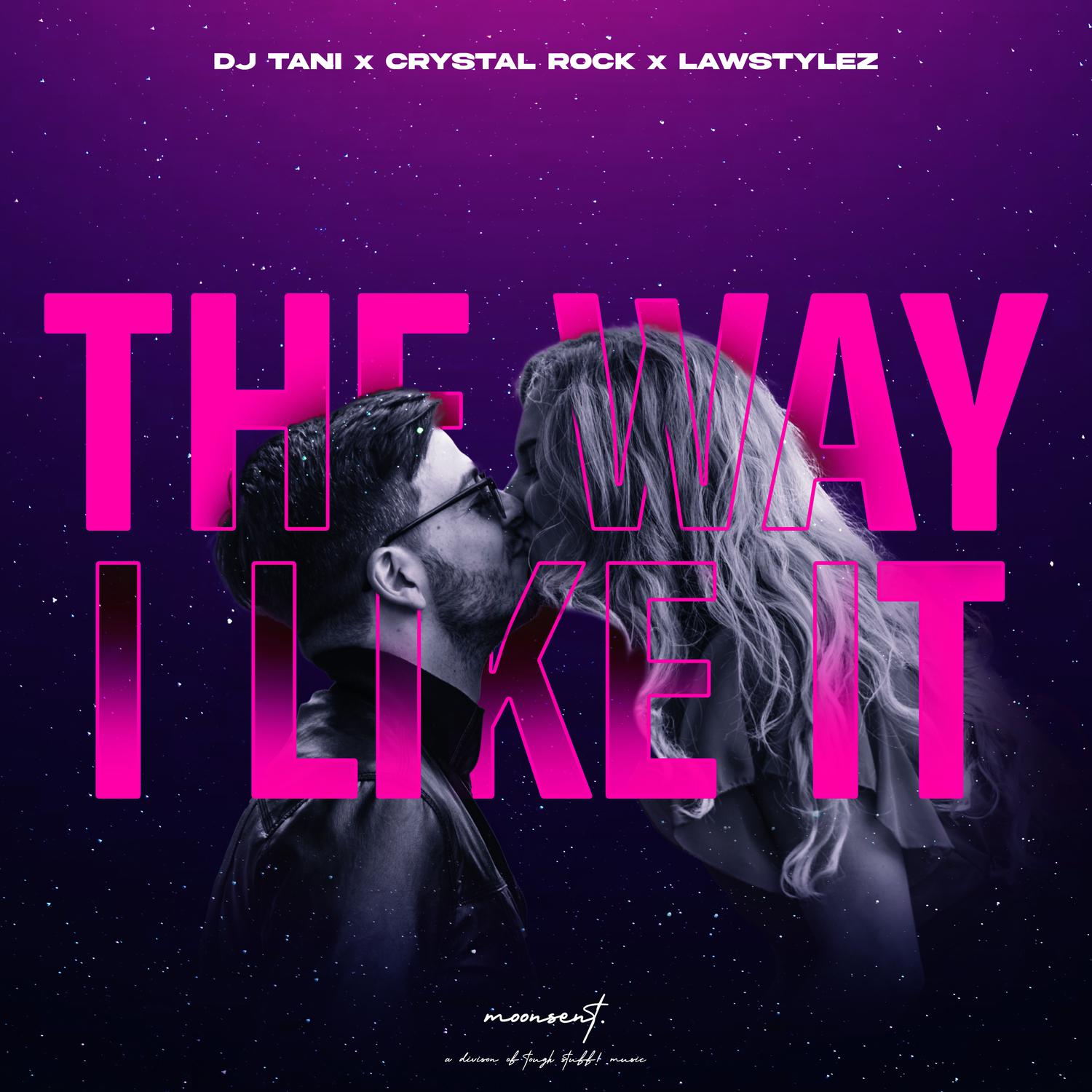 DJ Tani - The Way I Like It