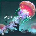 Perfect 10 (Unknown Brain & RudeLies VIP)专辑