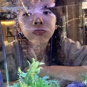 纯音乐