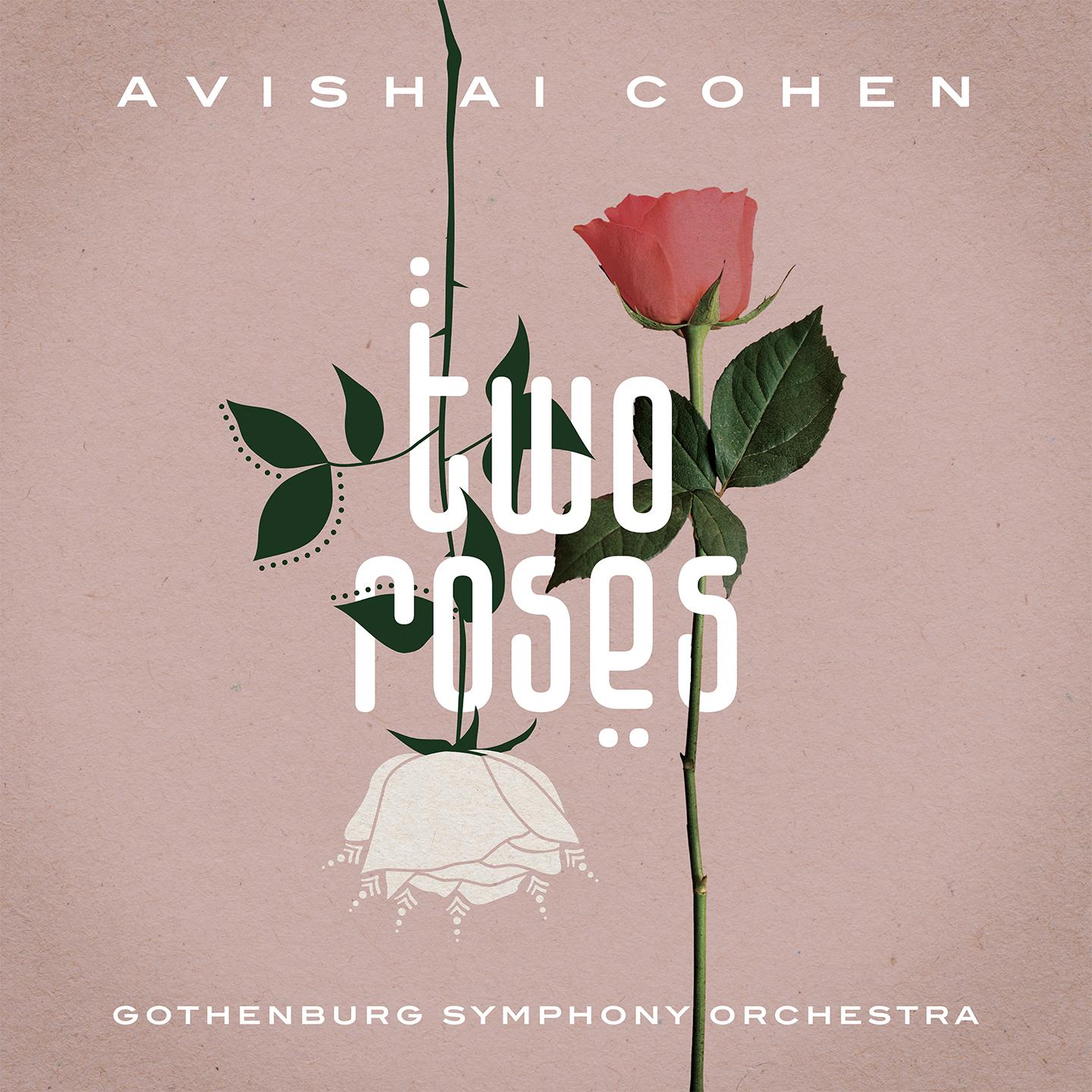 Avishai Cohen - When I'm Falling