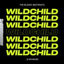 Wildchild专辑