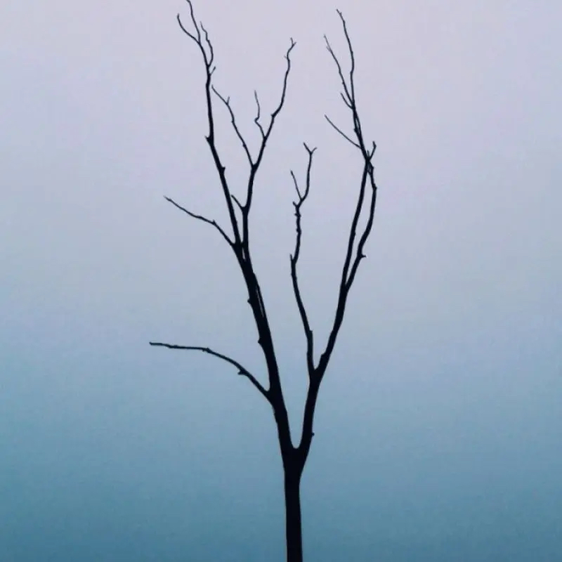 悲伤剧情