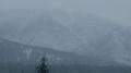 山屿 清林 落雨专辑