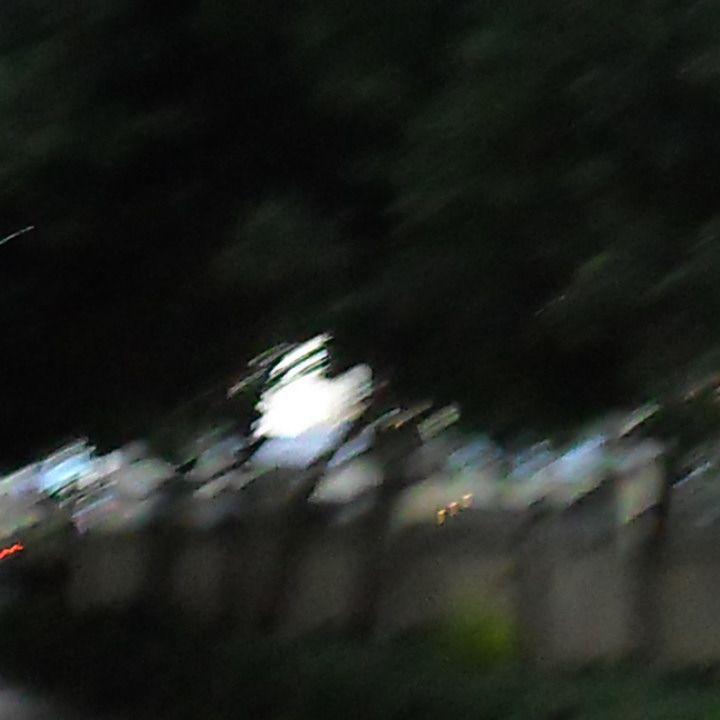 记忆越来越模糊 诀别书/ 八音盒