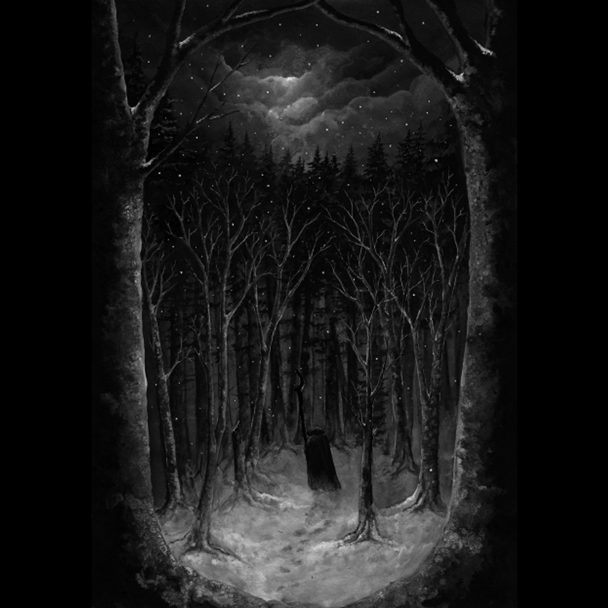 Im Winterwald