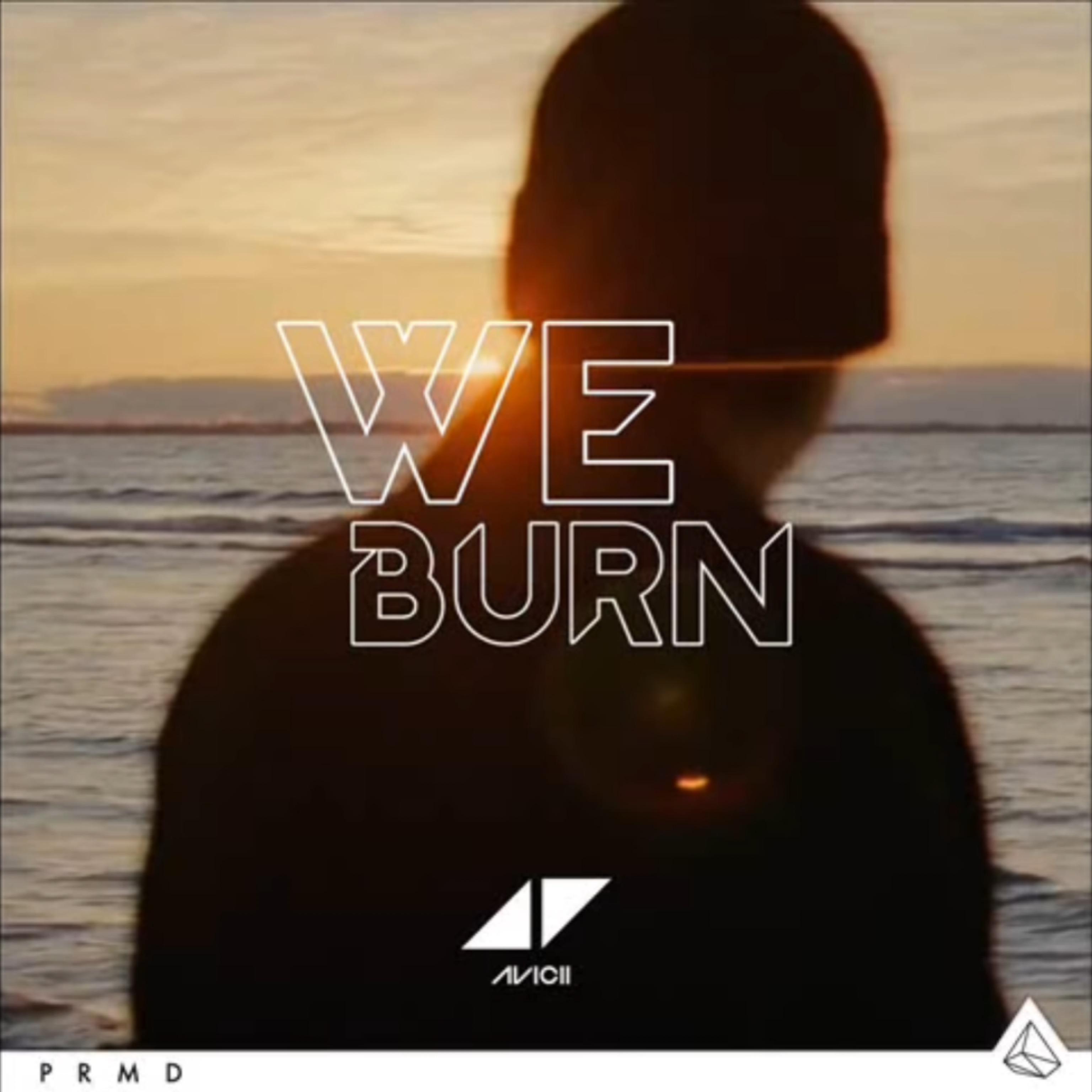 We Burn（Faster Than Light）SanJin Remake（翻自 Avicii）