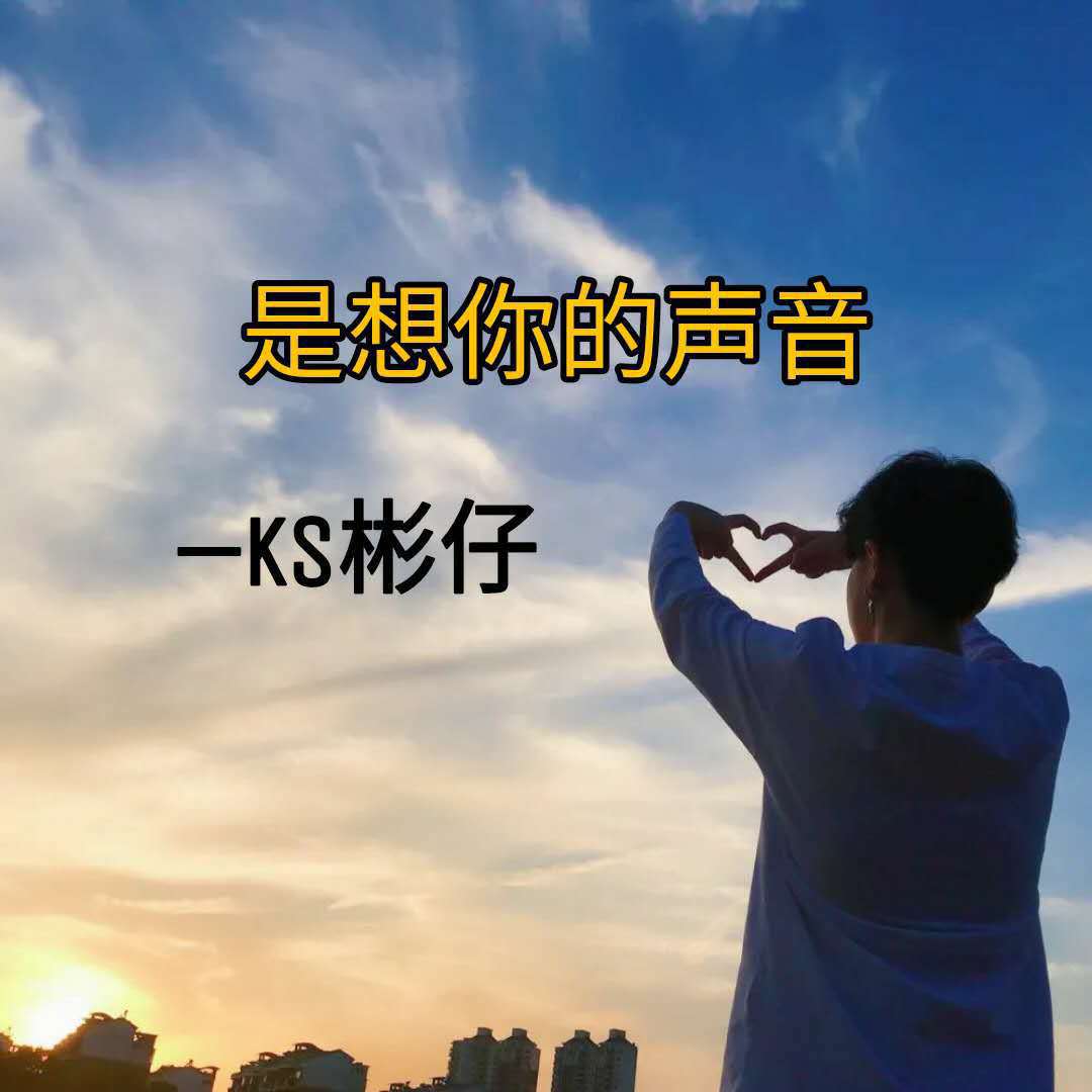 KS彬仔 - 忘川彼岸（电音版）