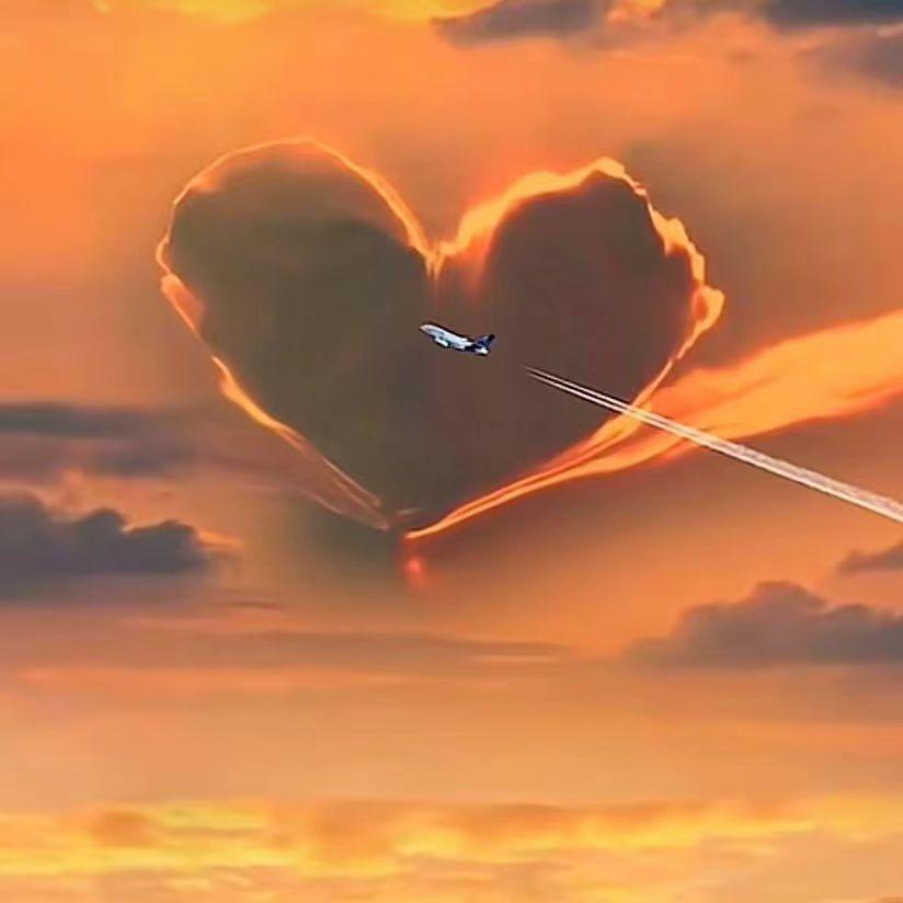 初次见面很高兴认识你