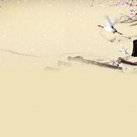 余情未了(2023时尚女嘉宾EDM电音舞曲资料)