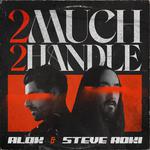 2 Much 2 Handle专辑