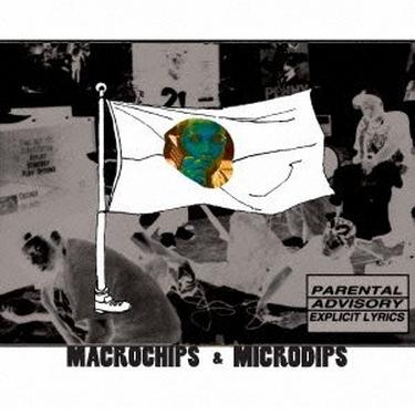Macrochips & Microdips
