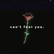 Can't Feel You