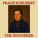 Franz Schubert: The Wanderer专辑