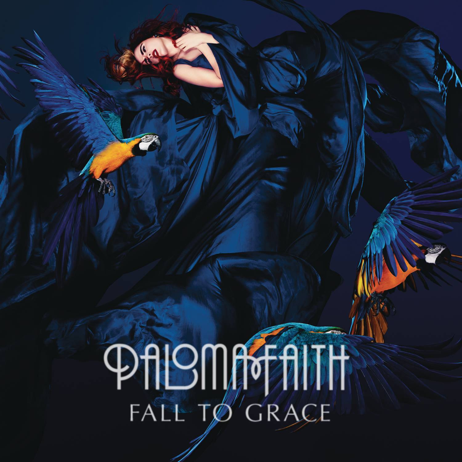 Fall To Grace (Deluxe)专辑