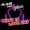 What Is Love 2K9专辑