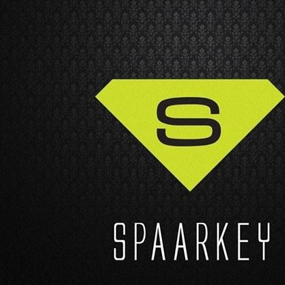 Spaarkey - Now We Are Free (Spaarkey remix)