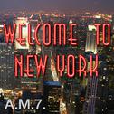 Welcome to New York (A Tribute to Taylor Swift)专辑
