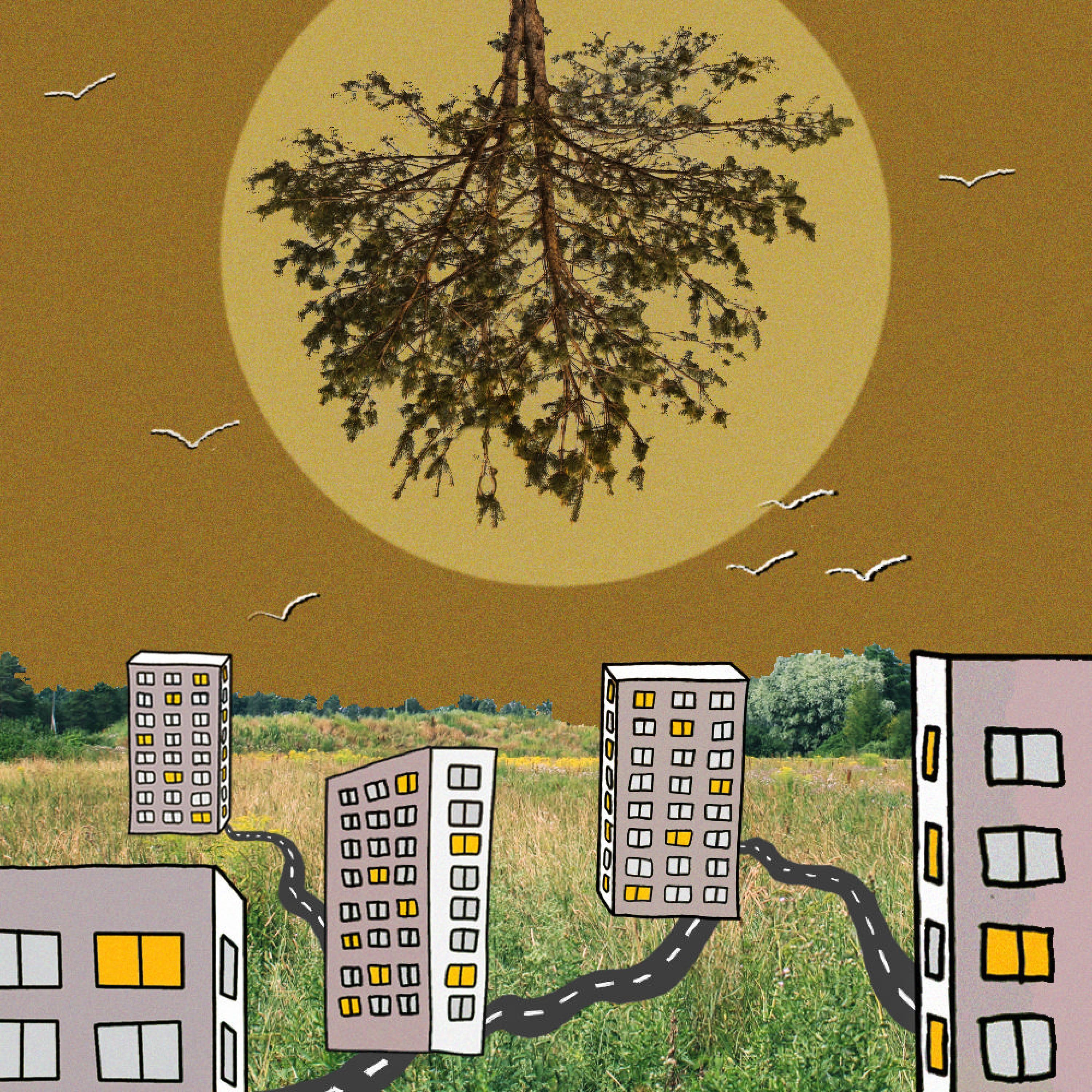 Pilsēta - Paradokss