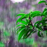 Sleep Rain Sounds资料,Sleep Rain Sounds最新歌曲,Sleep Rain SoundsMV视频,Sleep Rain Sounds音乐专辑,Sleep Rain Sounds好听的歌