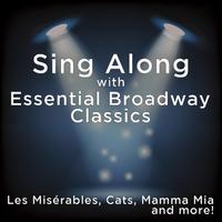 Mamma Mia! Broadway - Take A Chance On Me (instrumental)